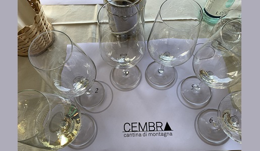 Degustazione Cembra Cantina di Montagna