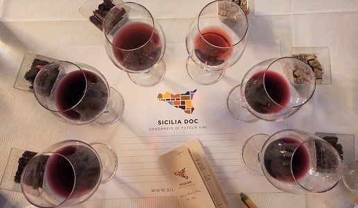 Discovery nero d'avola 2022