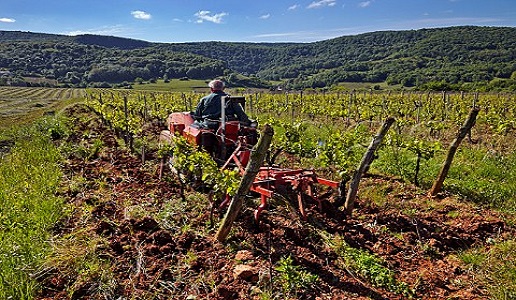 Domaine labet