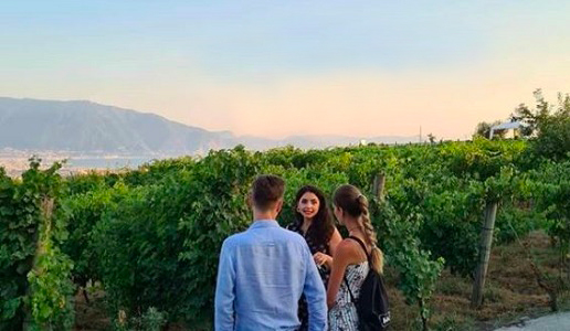 Enoturismo Campania