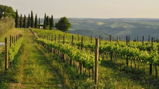 Un sussurro bianco dal cuore dell’Italia (1): Orvieto