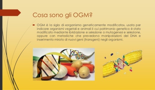 E se gli ogm facessero bene? firmato doctorwine editoriale daniele cernilli