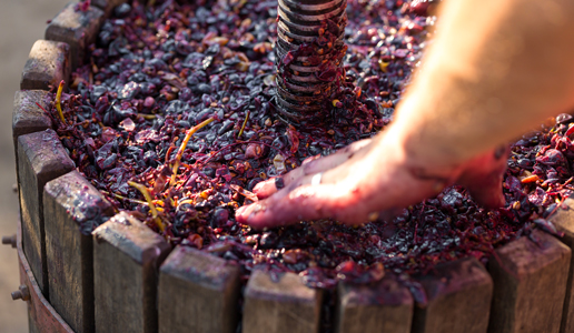 Il vino trascurato doctorwine
