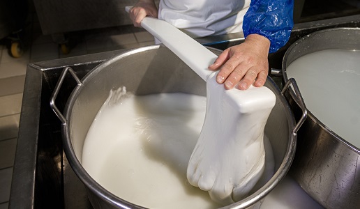 lavorazione burrata di andria