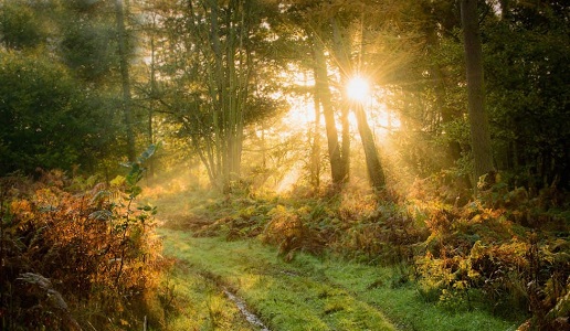 La luce del primo mattino: