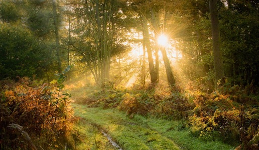 La luce del primo mattino: 