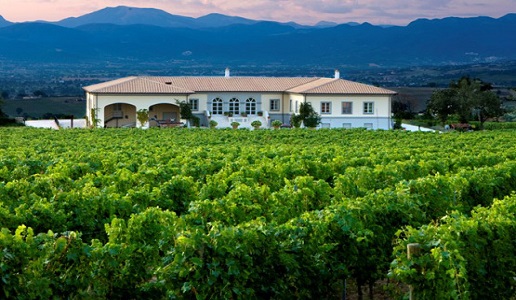 lungarotti torgiano rosso rubersco vigna monticchio riserva cantina vini umbria panorama vigne