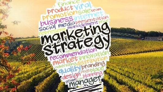 marketing del vino