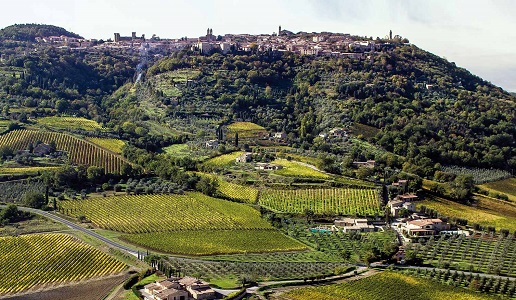 Montalcino Cru Canalicchi