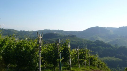 verticale monfortino