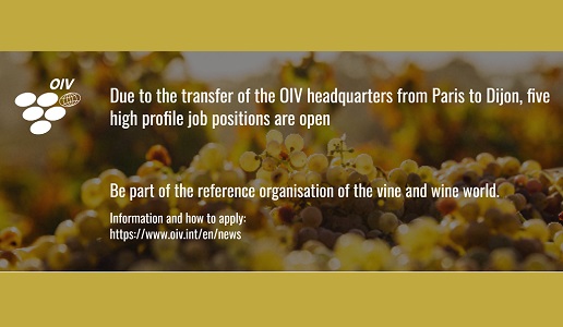 OIV job position