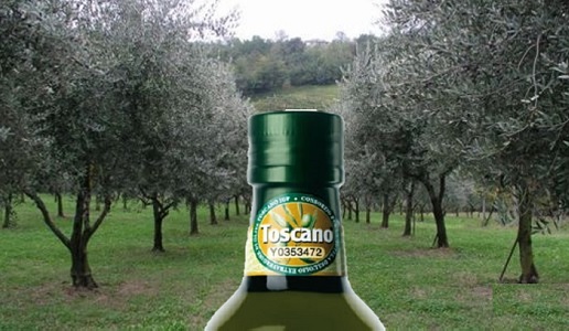 Olio Toscano IGP: +25,1% export