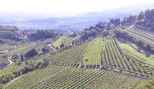 paesaggio vigneti valpolicella