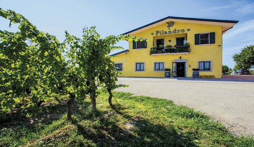Pilandro Cantina vini marche vigneti