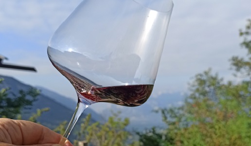Pinot Nero altoatesino bicchiere