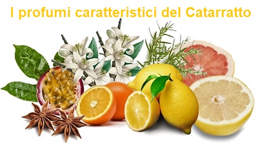 Profilo Aromatico Catarratto