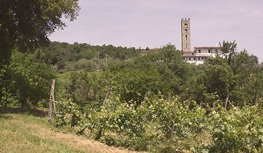 manuel pulcini san macario Toscana
