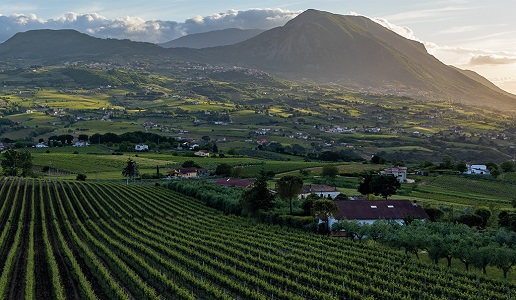 Sannio Panorama Taburno