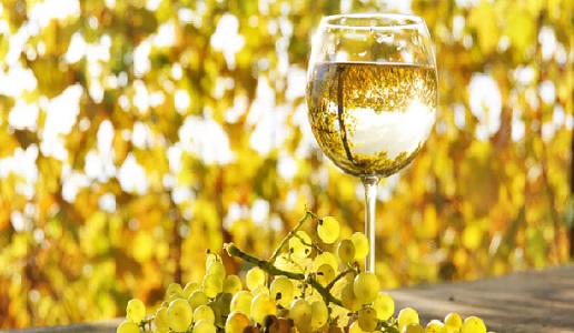 sauvignon blanc