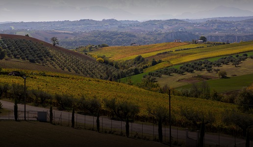 Sciarr D'Alesio vini Umbria panorama