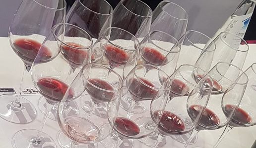 Seminario DoctorWine Vinoforum 2019