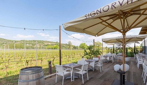 Signorvino Valpolicella