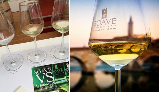 soave versus DoctorWine