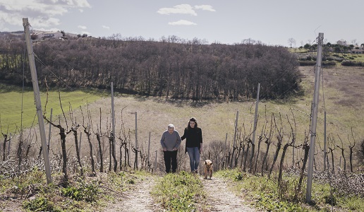 Tenuta Oderisio