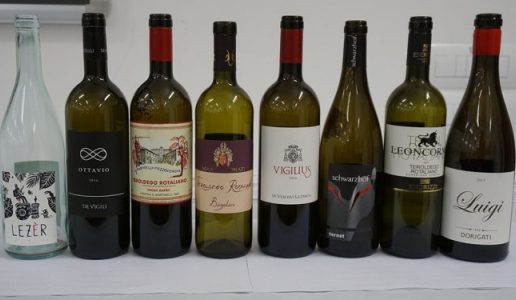 teroldego Incontri Rotaliani 2019