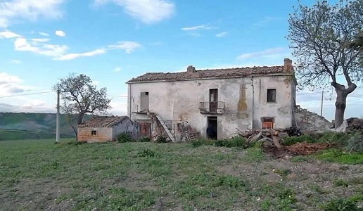 terreni incolti