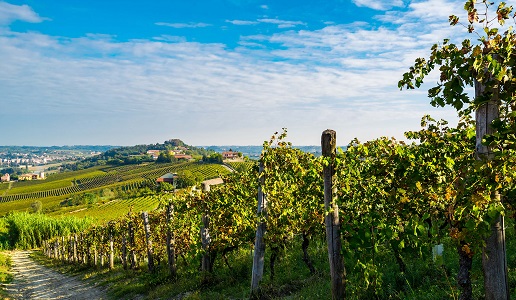 territorio Nizza Monferrato