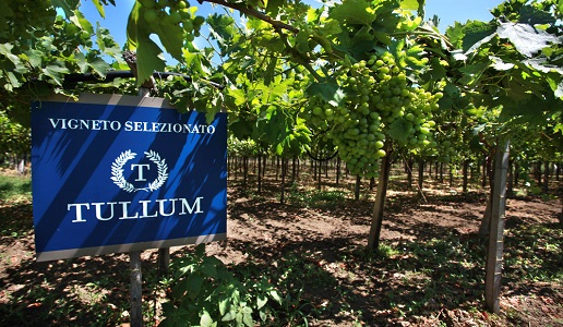 Docg Tullum