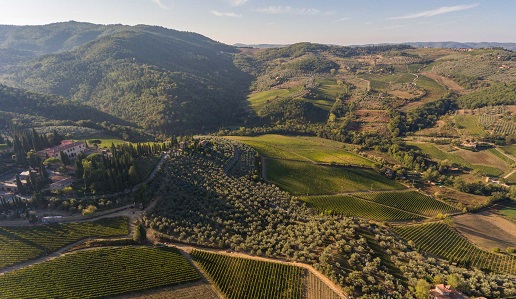 Vigneti greve in Chianti