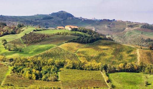 Vigneti Oltrepò Pavese