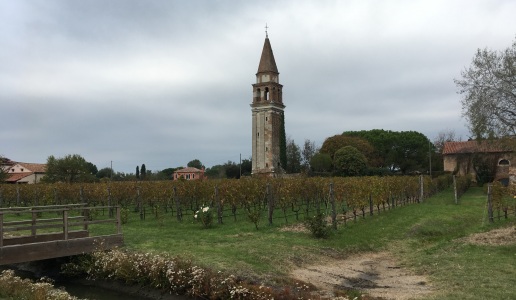 vigneto chiuso Venissa