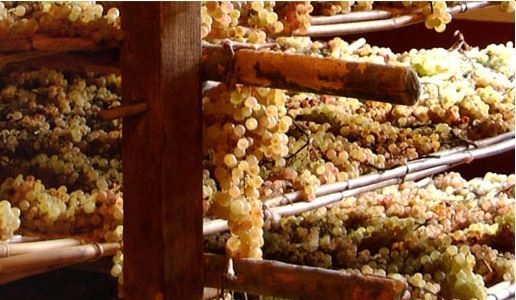 vin santo uve sui graticci