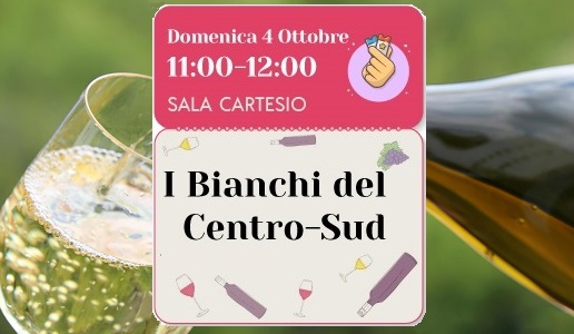vini-bianchi-del-centro-sud-doctorwine