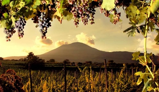 Amarcord Campania Felix (2): Bianchi e Aglianico in purezza