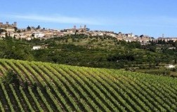 Montalcino 1