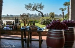 Villa Matilde Esterno e Prodotti
