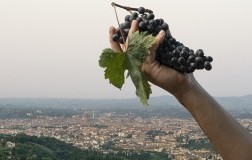 Bibi Graez panorama cantina su Firenze
