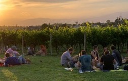 Picnic Poggio delle Grazie