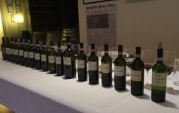 tenuta nuova brunello di montalcino casanova di neri verticale 20 anni