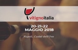 Vitigno Italia 2018 Napoli Castel dell'Ovo