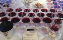 tenuta nuova casanova di neri verticale 20 anni brunello di montalcino