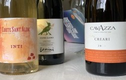 garganega insolite 