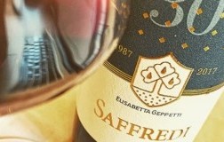 Fattoria le Pupille Verticale Saffredi Daniele Cernilli 3