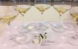 Verdicchio dei Castelli di Jesi