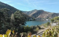 A Porto, non solo Porto