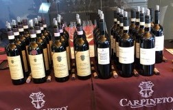 Carpineto cantina e bottiglie